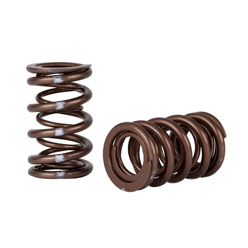 Skunk2 Pro Series Dual Valve Spring Kit – Optimized For Honda/Acura K-Series I-Vtec Engines 1