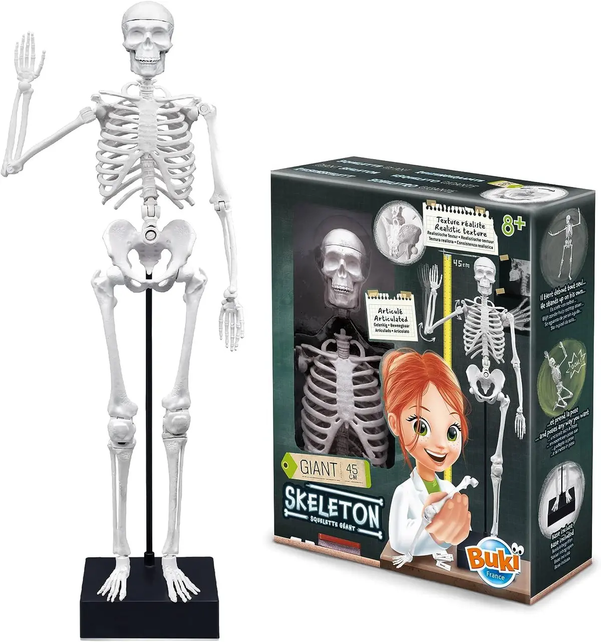 Buki France Educational Skeleton 45Cm 1