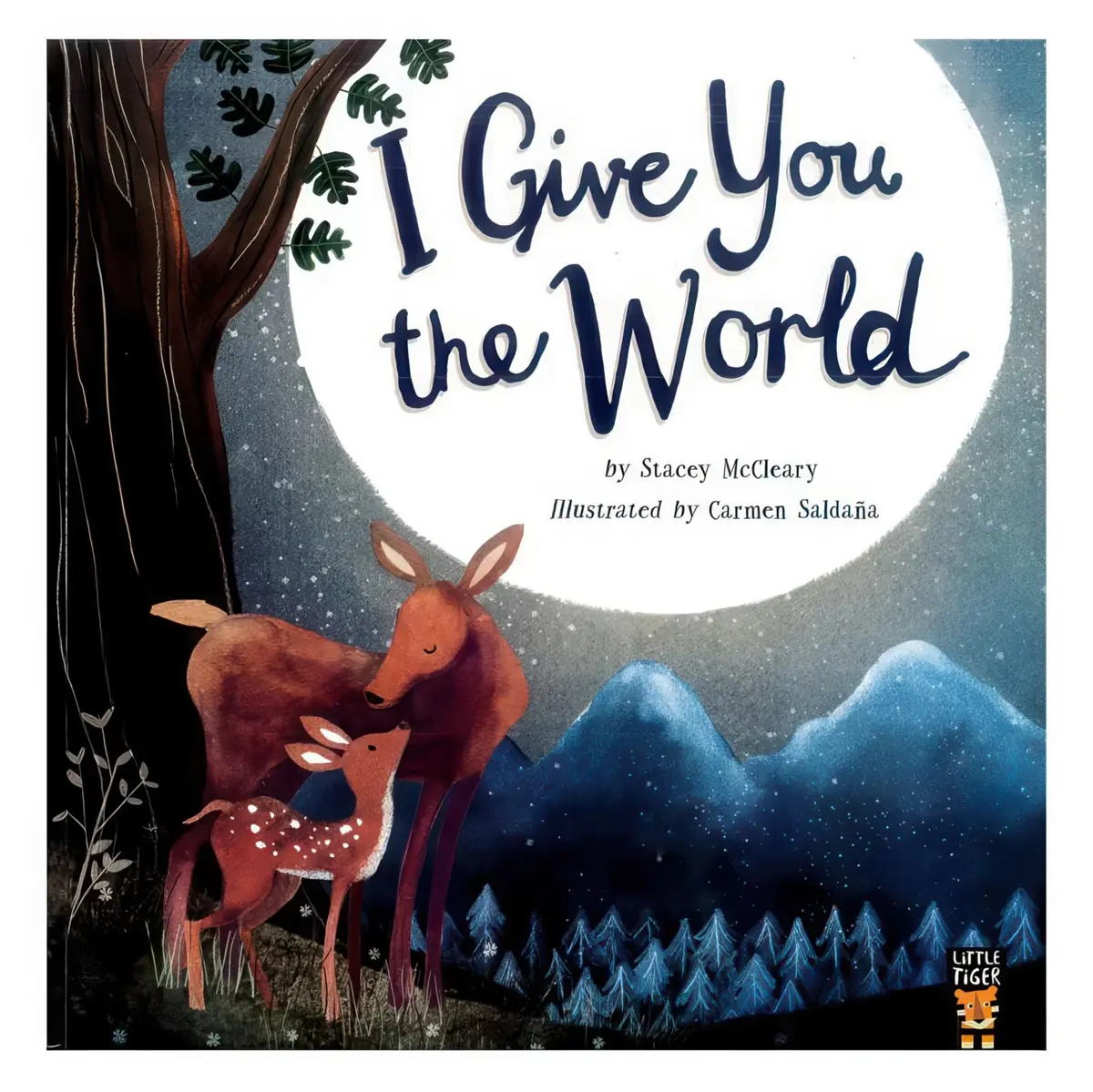 I Give You The World Picture Story Book 1