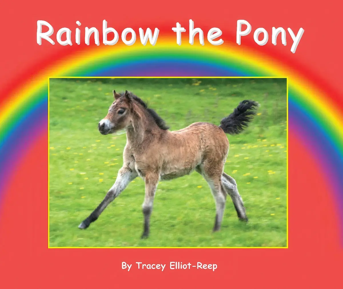 Early Reading Books By Tracey Elliot-Reep - Assortment 1