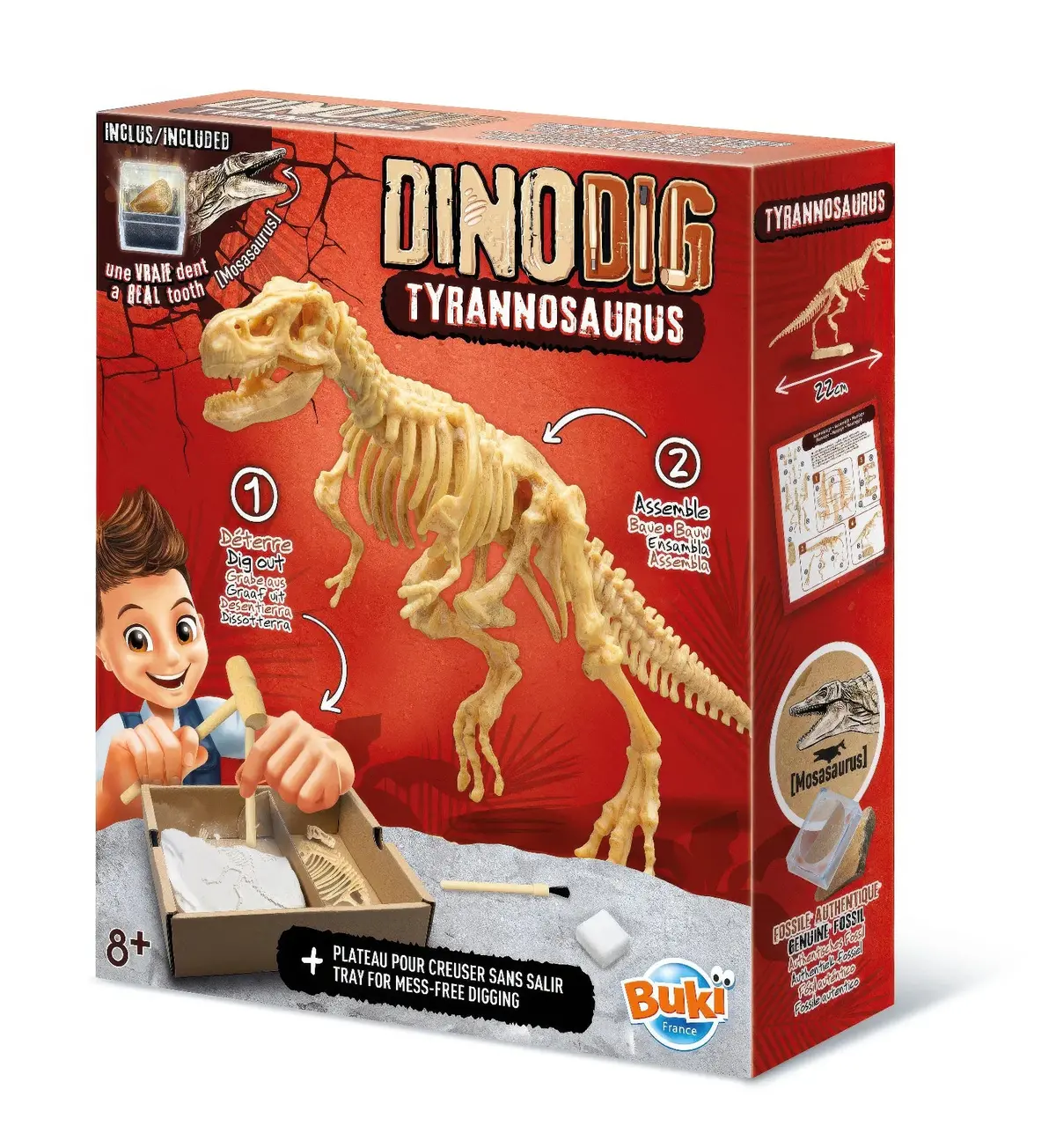 Buki France Dino Dig T-Rex Skeleton Building Kit 1