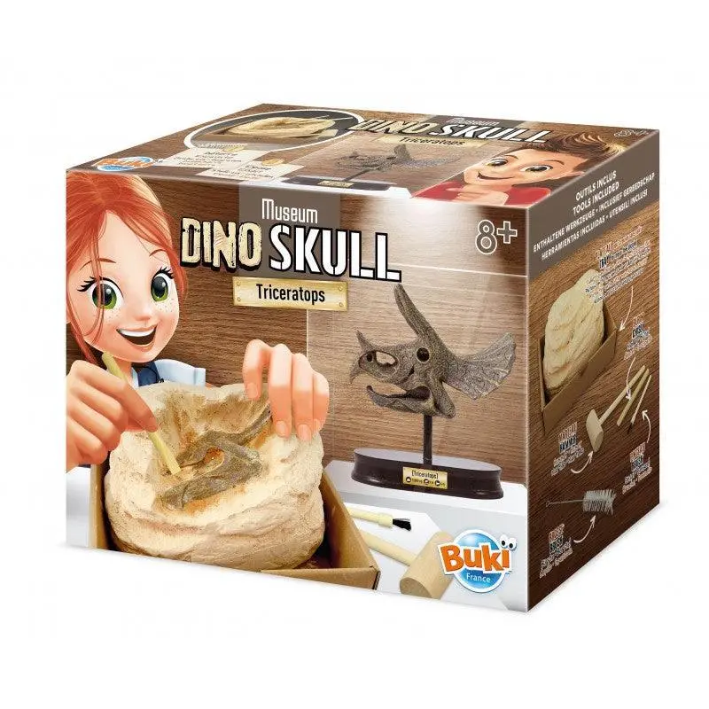Buki France Dino Museum Skull - Triceratops 1