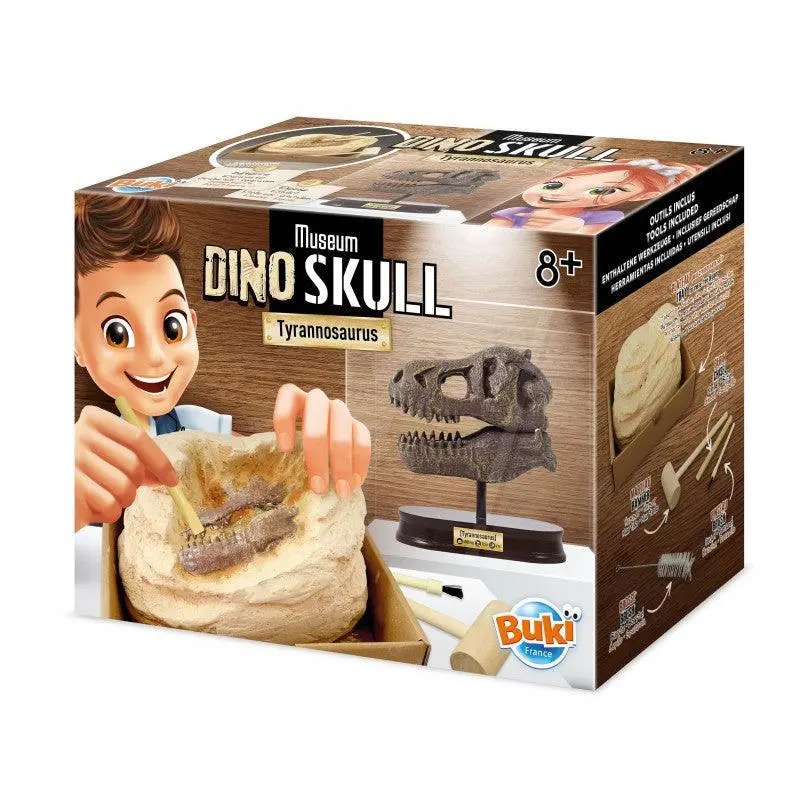 Buki France Dinosaur Skull - Tyrannosaurus Rex 1
