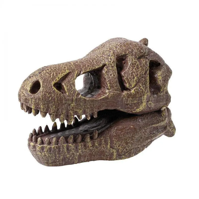 Buki France Dinosaur Skull - Tyrannosaurus Rex 2