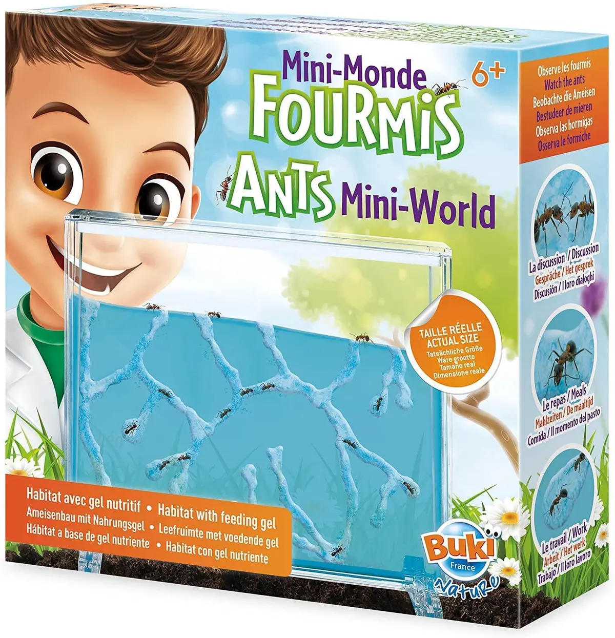 Buki France Nature Ants Mini-World 1