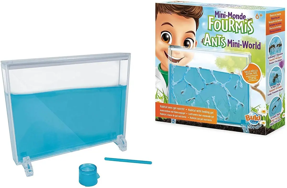 Buki France Nature Ants Mini-World 2