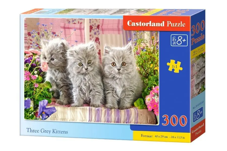 Castorland 300 Piece Jigsaw Puzzle - Three Grey Kittens 1