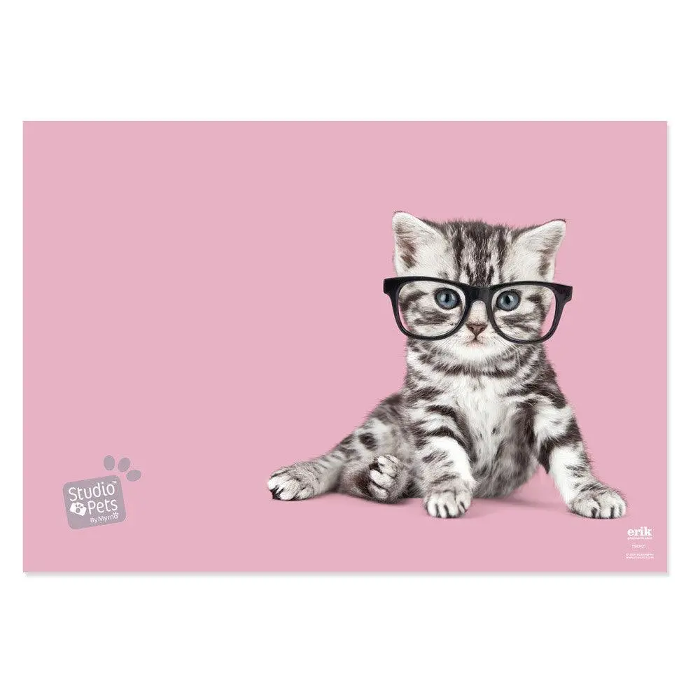 Desktop Mat Studio Pets Cats 1