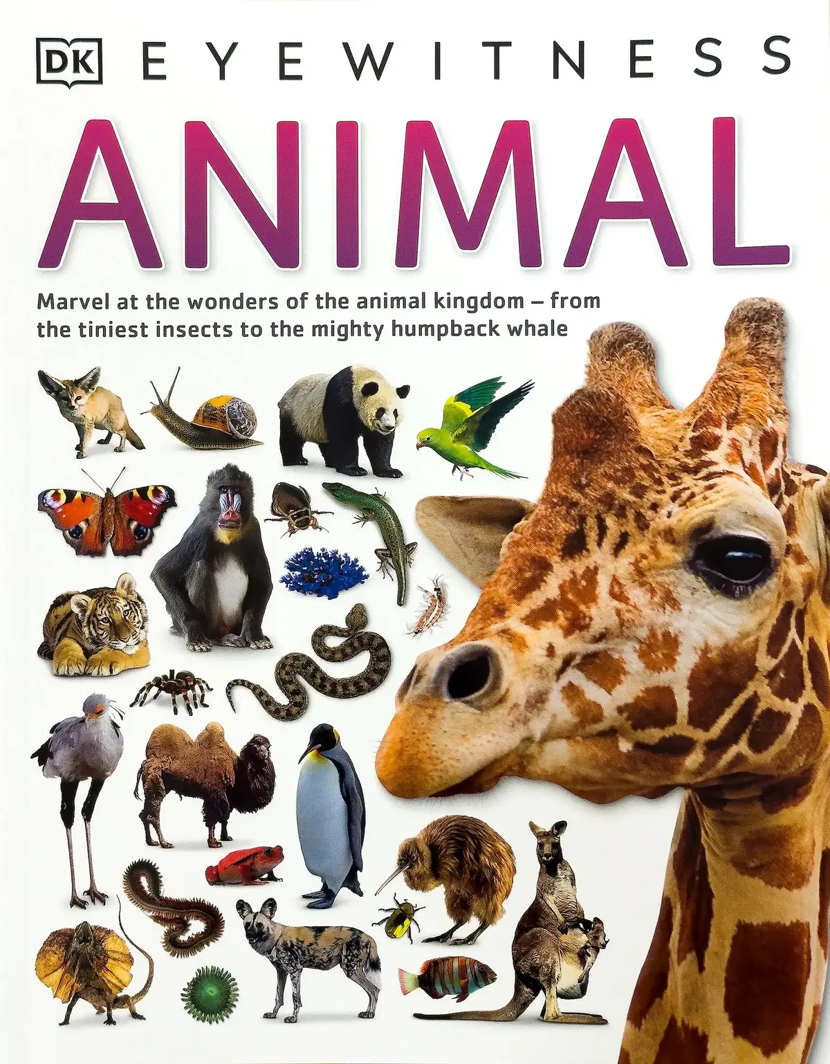 Dk Eyewitness Animal Softback Book 1