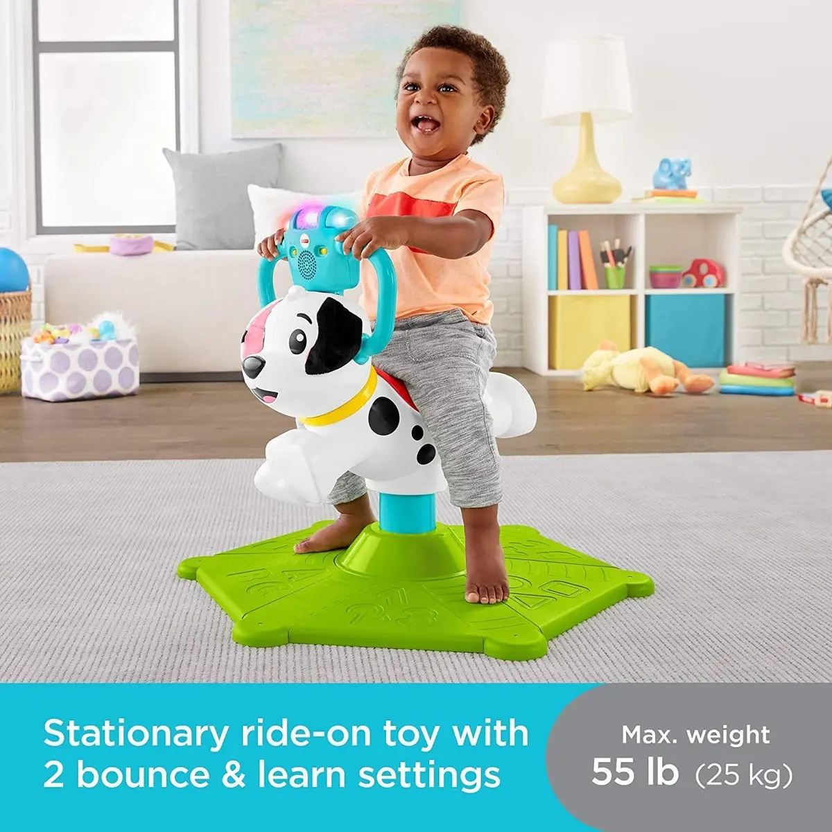 Fisher-Price Bounce And Spin Puppy 2