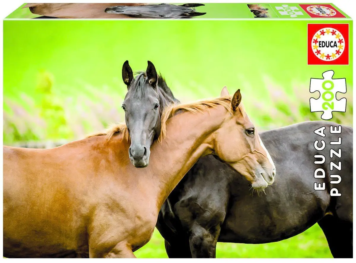 Horses 200 Puzzle 1