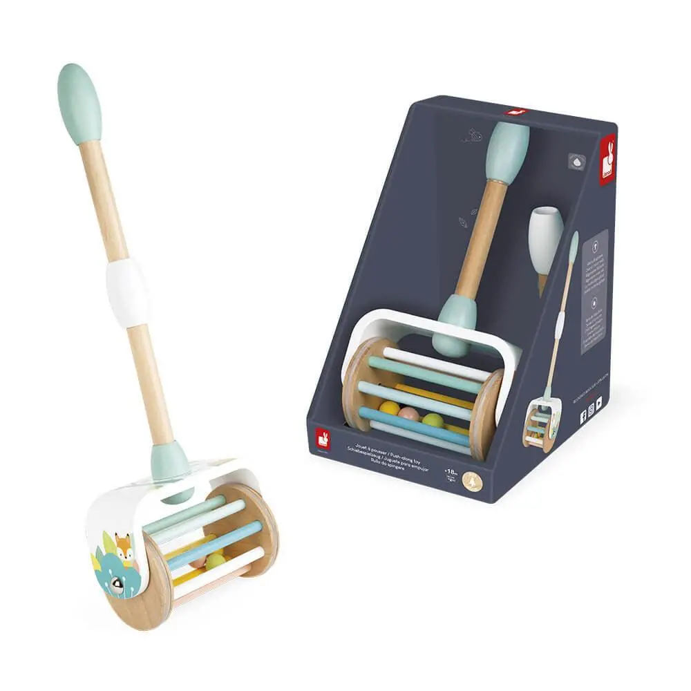 Janod Pure Push-Along Toy 1