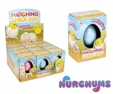 Keycraft Nurchums Small Chick Hatching Eggs 11Cm 2