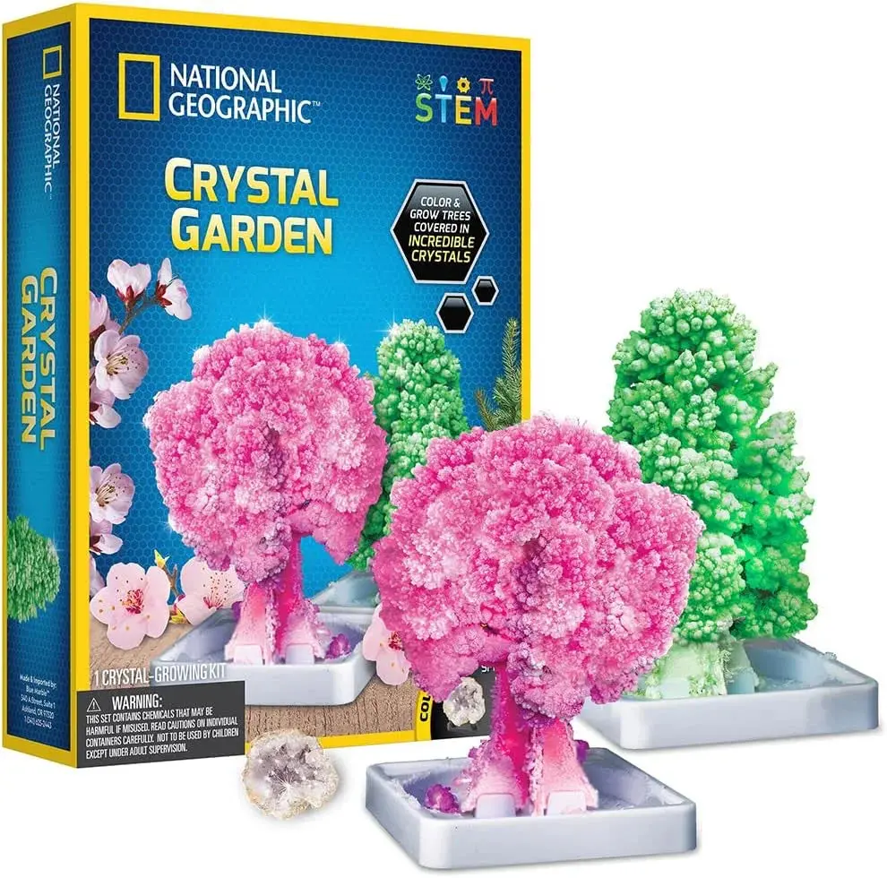 National Geographic Crystal Growing Garden 1