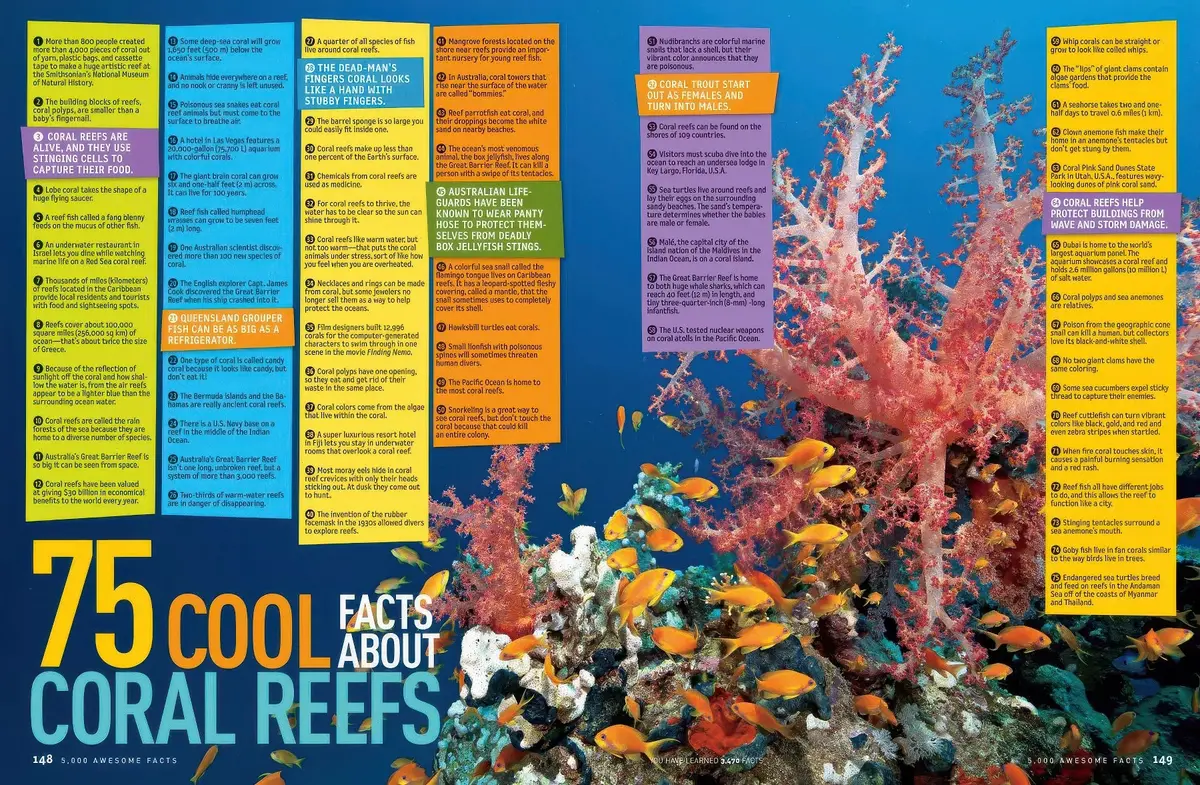 National Geographic Kids 5,000 Awesome Facts (About Everything!) 2