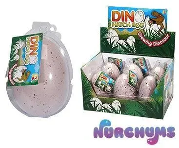 Nurchums Large Dino Hatching Egg 2