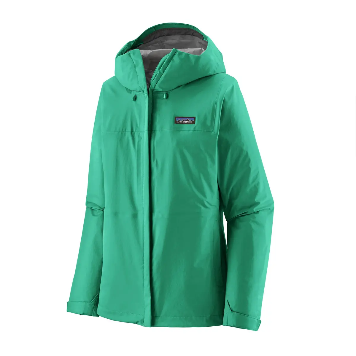 Torrentshell 3L Rain Jacket | Women's 1