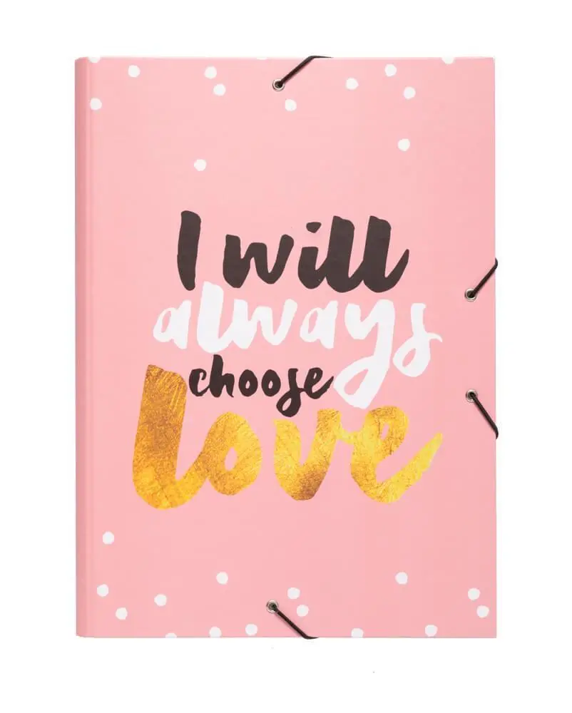 Pusheen Elasticated Filing Folder, Glitter Stars 1