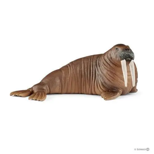 Schleich 14803 Walrus Wild Life Figure 1