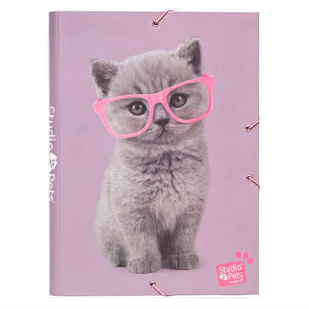 Studio Pets Cats A4 Elastic Folder 1