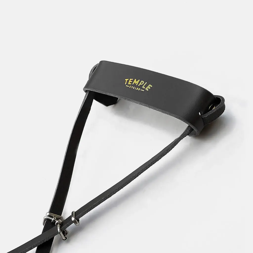Leather D-Lock Holster 1