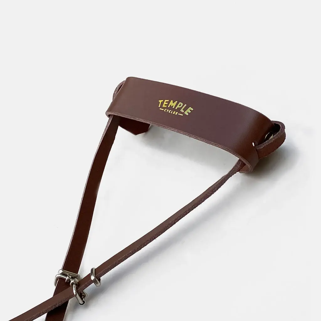 Leather D-Lock Holster 1