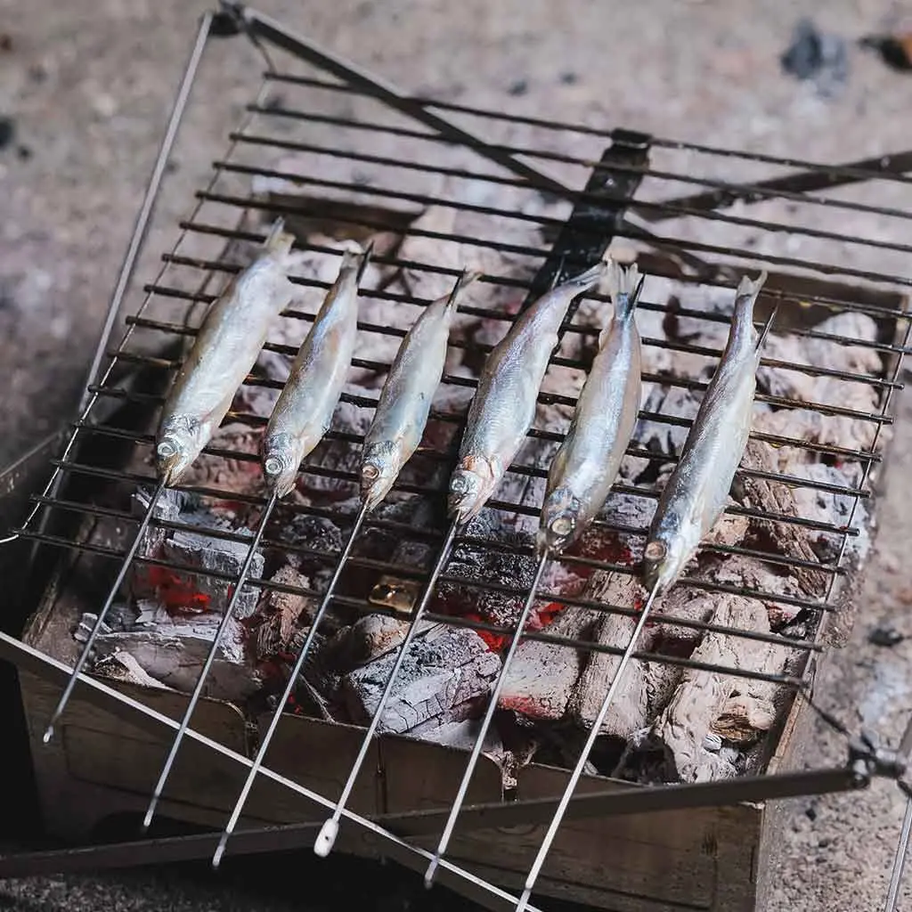 Grill With Fire Set 2