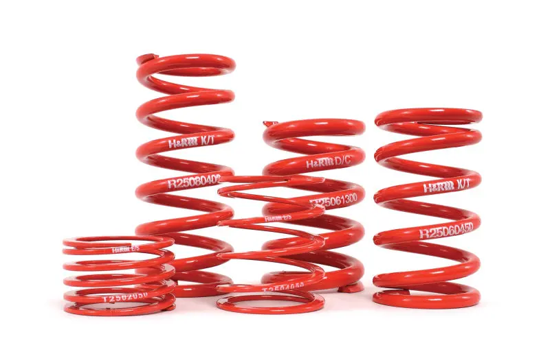 H&R Single-Race Coil Spring – 2.5" Inner Diameter, 14" Length, 600 Lb/In Rate 1